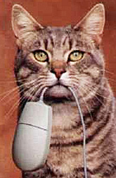 Cat with Mouse