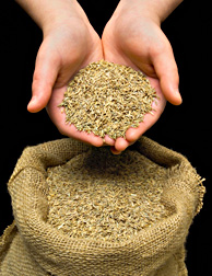 Handling grass seed from a bag