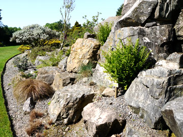 Rock Garden